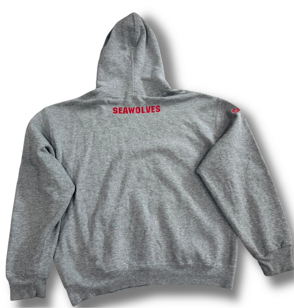 VINTAGE 90s/Y2K STONY BROOK UNIVERSITY VOLLEYBALL GRAY HOODIE (MENS LARGE)